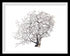 black sea fan white landscape frame by peek a blue